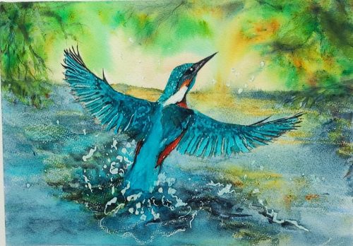 CD, Kingfisher, Brusho.